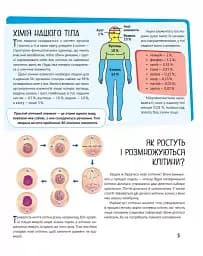 Тіло людини - мініатюра 5