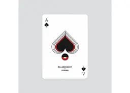 Карти гральні United States Playing Card Company Ellusionist Views X (limited edition) (PC_ELVX) - мініатюра 3