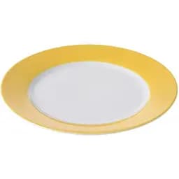 Тарілка десертна 20cm (YL) NP111PL