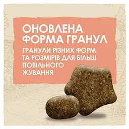 Сухий корм для собак з підвищеною активністю Dog Chow Active Adult 1+, з куркою, 2,5 кг - мініатюра 5