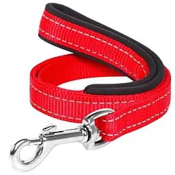 Повідець для собак Dog Extremе, нейлоновий, з прогумованою ручкою, 122х2 см, червоний