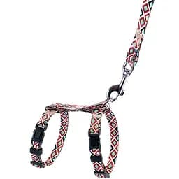 Шлея для котів та собак дрібних порід BronzeDog Urban Гуцульська з повідцем XXS 15-23 см коричнева