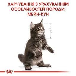 Сухий корм для кошенят до 15 місяців породи мейн-кун Royal Canin Maine Coon Kitten з куркою 2 кг - мініатюра 3