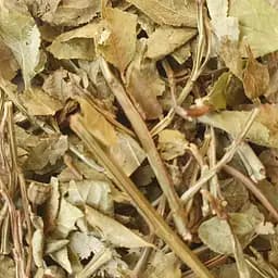 100 г черника побеги сушеные - свежий урожай