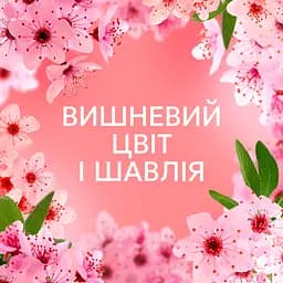 Кондиціонер для білизни Lenor Вишневий цвіт та шавлія 59 циклів прання 1.239 л - мініатюра 6