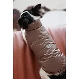 Жилет Pet Fashion Hardy для собак розмір S2 - мініатюра 5