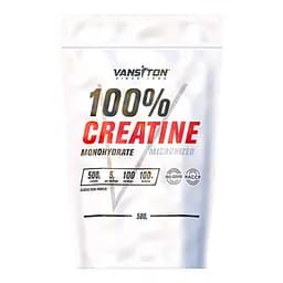Креатин Vansiton Creatine Monohydrate, 500 грам - Вишня