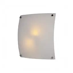 Светильник настенно-потолочный накладной Brille W-171/2