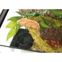 Ліана гнучка з натуральним мохом для тераріуму Repti-Zoo Artificial Moss Vine 1,5см x 2м (RV0215) - мініатюра 8