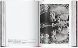 Sebastiao Salgado. Genesis. 45th Edition - мініатюра 15