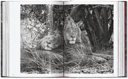 Sebastiao Salgado. Genesis. 45th Edition - мініатюра 14
