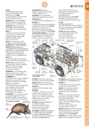 Illustrated English Dictionary (updated edition) - мініатюра 3