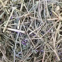 100 г дымянка/рутка лекарственная трава сушена - свежий урожай