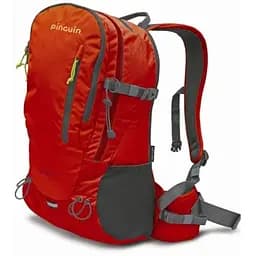 Рюкзак Pinguin Step 24 2020 Red (1033-PNG 326130)