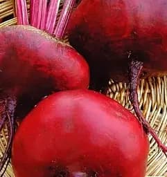 Насіння Весна на вагу Буряк Єгипос ціна за 10 г (177581)