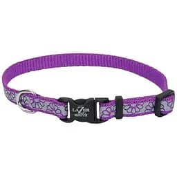 Нашийник для собак Coastal Lazer Brite Reflective Collar 1 х 20-30 см світловідбиваючий (46331_PDY12)