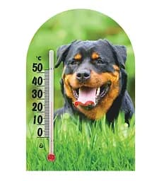 Термометр Склоприлад Сувенір Зоо Світ Ротвейлер (300623)