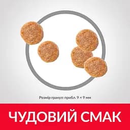 Сухий корм Hill SP Adult Sterilised Cat Chicken для дорослих стерилізованих котів, з куркою, 15 кг - мініатюра 4