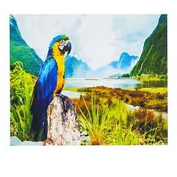 Картина по номерам "Папугай" HCEG 32046 TK Group, 40х30см, в коробке (6900066386633)