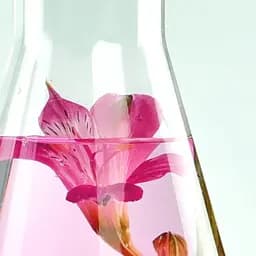 Сироватка з пребіотиками для проблемної шкіри обличчя Miya Cosmetics Beauty Lab Serum With Prebiotics For Problem Skin 30 мл - мініатюра 3