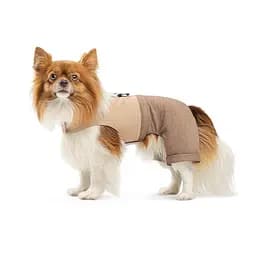 Шлей-костюм Darcy ТМ Pet Fashion для собак M бежева - мініатюра 4