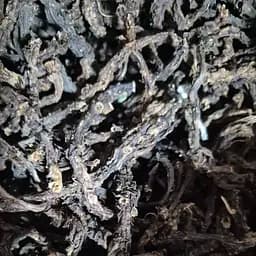 100 г гравилат речной корень сушеный - свежий урожай