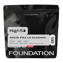 Кофе в зернах Foundation High5 Коста Рика Gloxinia Эспрессо 250 гр