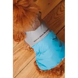 Комбінезон зон Pet Fashion Сharlie ХS для собак - мініатюра 8
