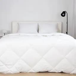 Одеяло ТЕП Friendly Лебединый пух 400 г/м 150x210 см белый (1-02597_00000)