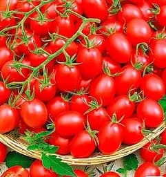 Насіння Весна на вагу Томат Дачні ласощі ціна за 1 г (178261)