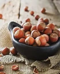 Саджанець Agro-Market Фундук Барселонський (перехресне запилення, садити по 2 шт) (44829) 1 шт. в упаковці - мініатюра 3