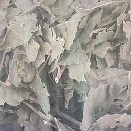 100 г грецкий орех лист сушеный - свежий урожай