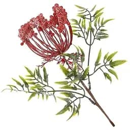 Ветка для декора Даукус карота 34 см Искусственные материалы для декора и флористики с ягодами Красный