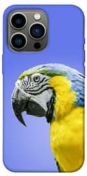 TPU чохол Папуга ара
