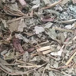 100 г гравилат речной трава сушеная - свежий урожай