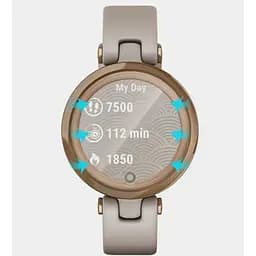 Захисна плівка DK Composite Film box для Garmin Lily (gold) - мініатюра 2