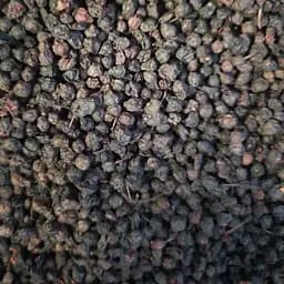 100 г черника плоды/ягоды сушеные - свежий урожай