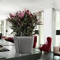 Вазон Lechuza Quadro Premium LS 28 антрацит (16143) - мініатюра 7