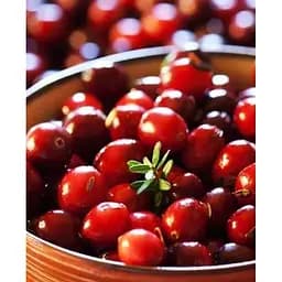 Саджанець Agro-Market Брусниця Руно (пізній термін дозрівання, дуже врожайний сорт) 1 саджанець (23794)