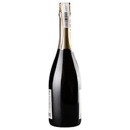 Вино ігристе Shabo Classic, напівсолодке, 13,5%, 0,75 л (465774) - мініатюра 2