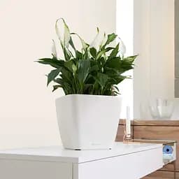 Вазон Lechuza Quadro Premium LS 28 сіро-коричневий (16145) - мініатюра 5