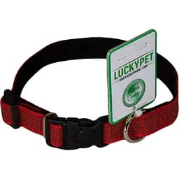 Ошейник из прорезиненной ленты Lucky Pet, подшитый, 25-35х2 см, красный