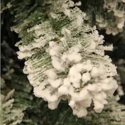 Сосна штучна Black Box Trees Millington з ефектом покриття снігом 2.15 м біло-зелена (8718861279566) - мініатюра 5
