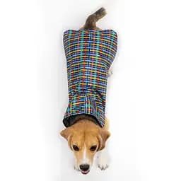 Дощовик для собак з капюшоном Barksi Textile розмір М Клітинка - мініатюра 4