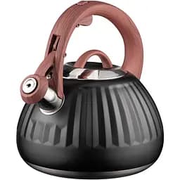 Чайник Ardesto Gemini 2.5 л нержавіюча сталь