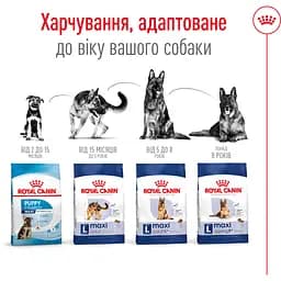 Сухий корм Royal Canin Maxi Adult для дорослих собак великих порід з м'ясом птиці та кукурудзою 15 кг - мініатюра 6