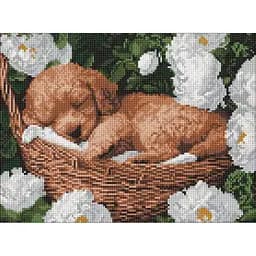 Алмазна мозаїка Сплячий пудель AMO8170, 30x40 см