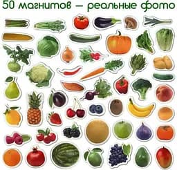 Набір магнітів Magdum "Фрукти і овочі" ML4031-15 EN - мініатюра 3