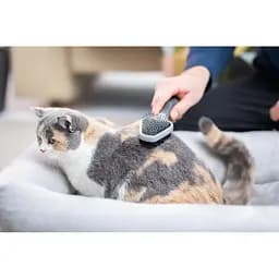Гребінець-щітка FURminator для котів та собак двостороння з гумовою ручкою та захисними кульками - мініатюра 6
