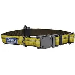 Нашийник для собак Coastal k9 Explorer 2.5 см x 30-45 см нейлон (36922_GLR18)